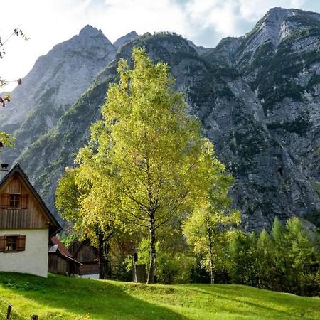 Cottages Kravanja Trenta Esterno foto
