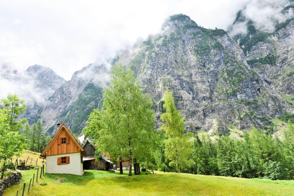 Cottages Kravanja Trenta Esterno foto