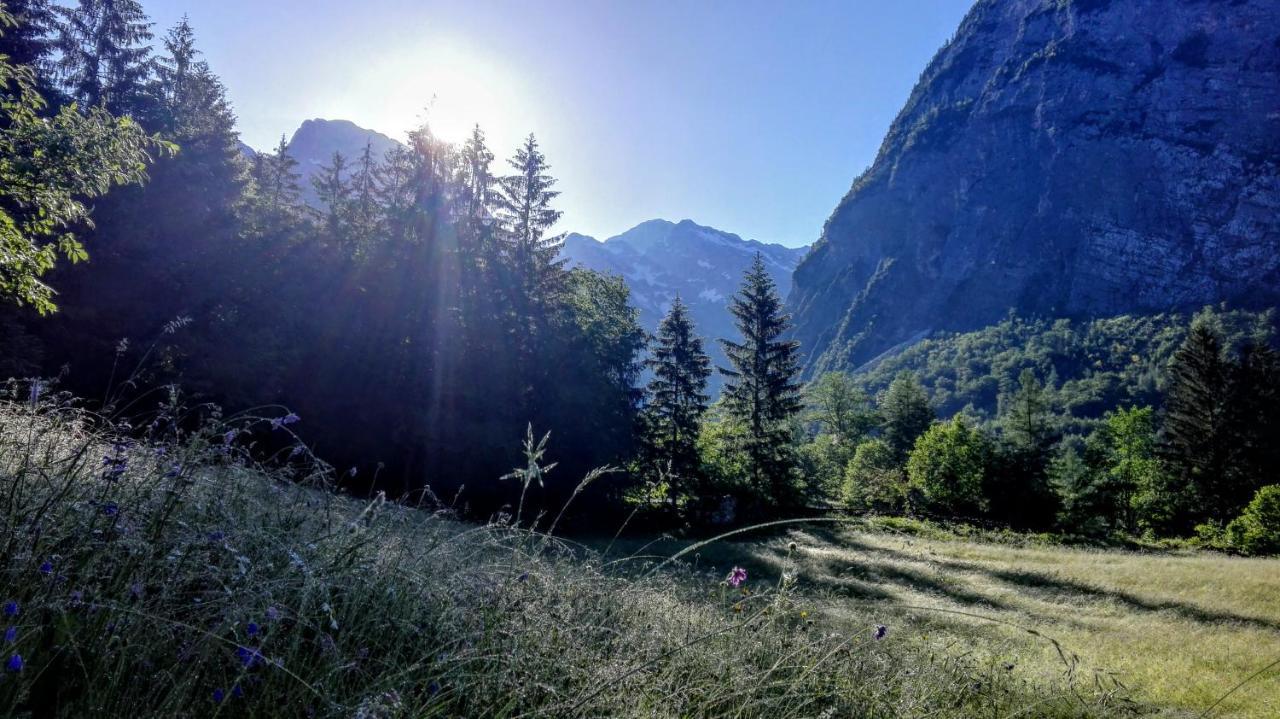 Cottages Kravanja Trenta Esterno foto