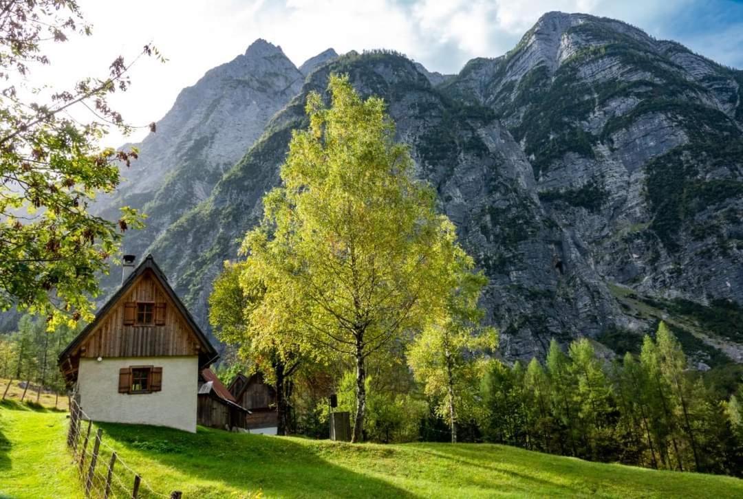 Cottages Kravanja Trenta Esterno foto